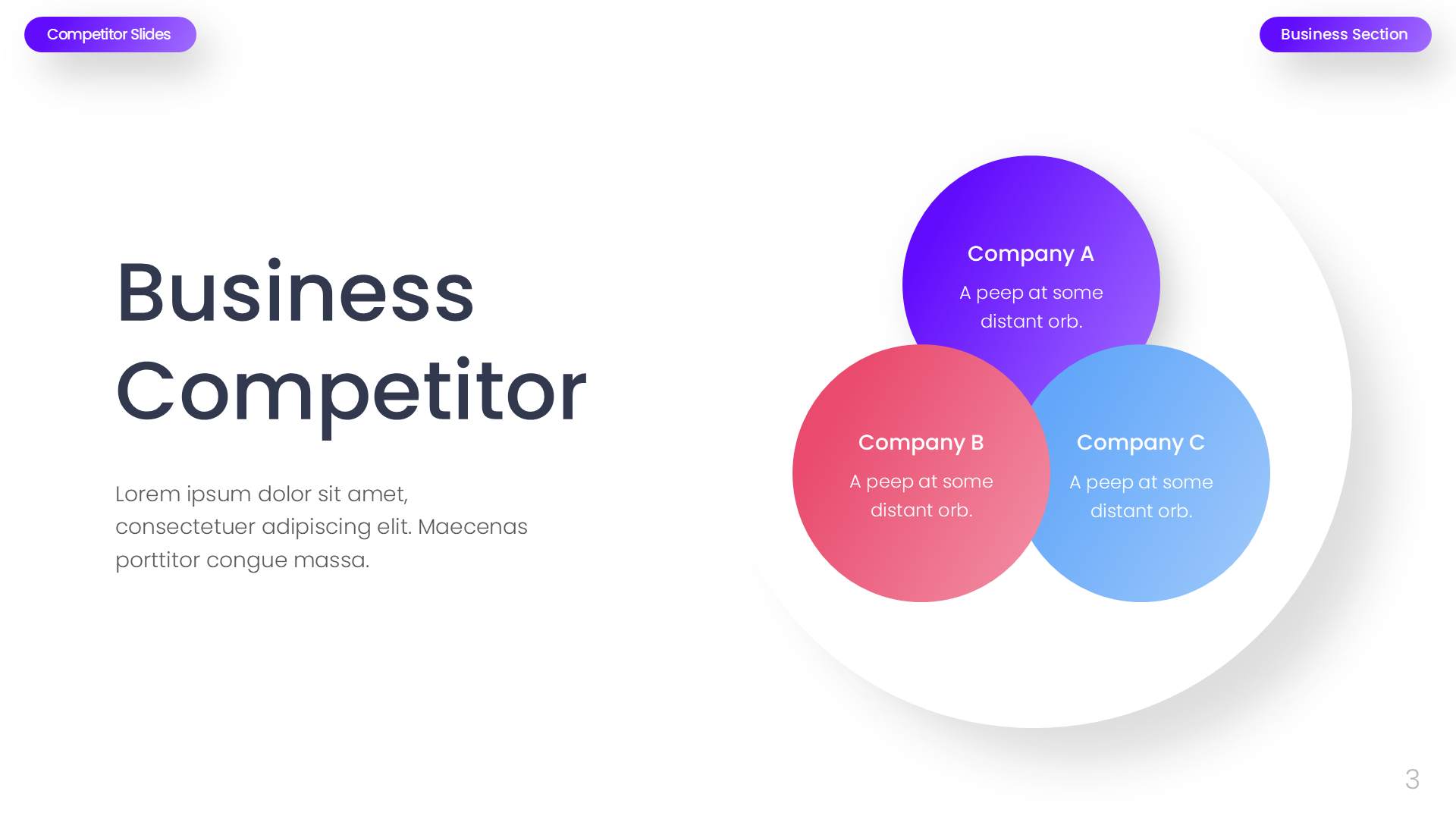 Competitor Business Section Light slide 3